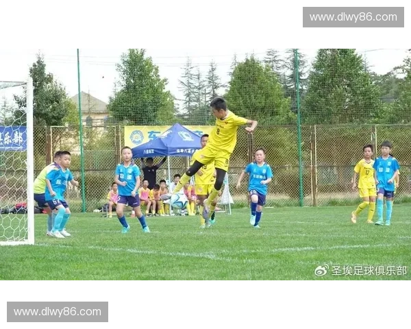 燃情绿茵巅峰对决精彩瞬间回顾见证足球激情与荣耀时刻