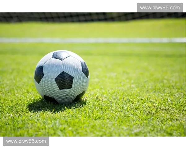 探秘北欧足球联赛的发展格局与俱乐部竞技文化的多维演变